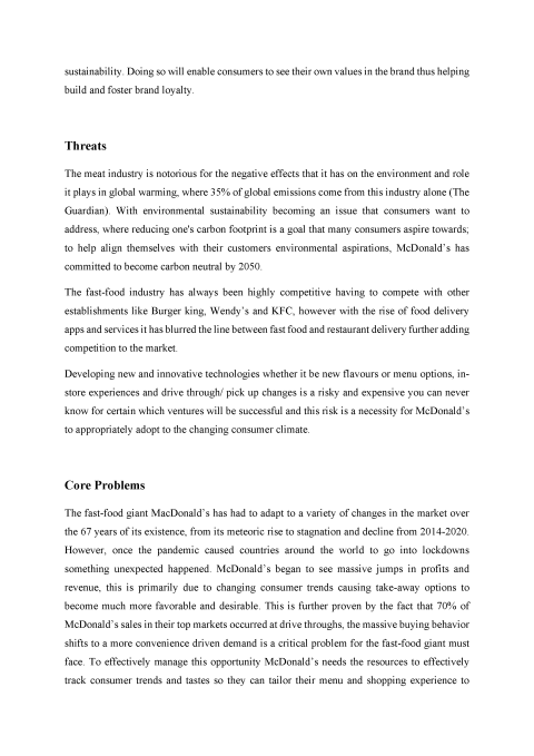 Business Case Project Report