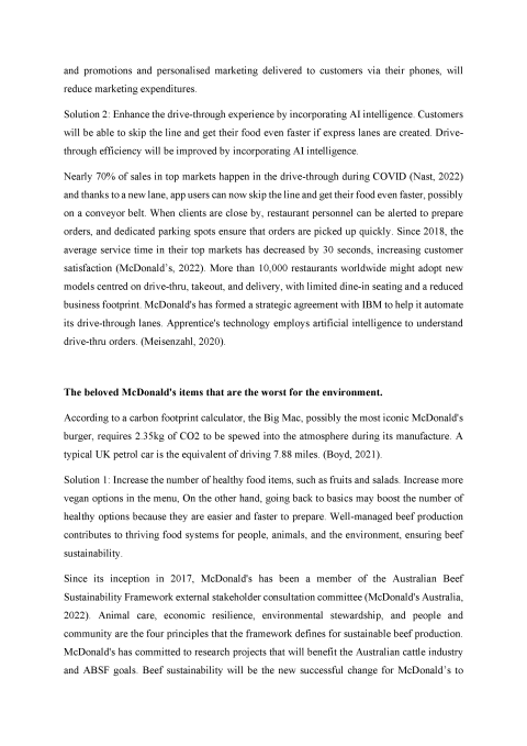 Business Case Project Report