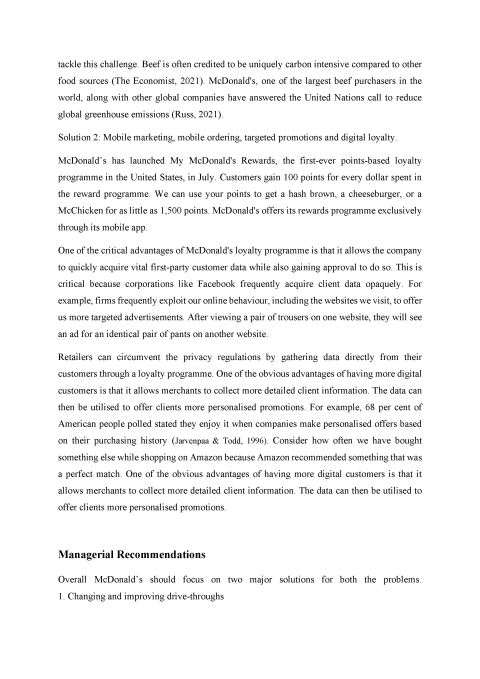 Business Case Project Report