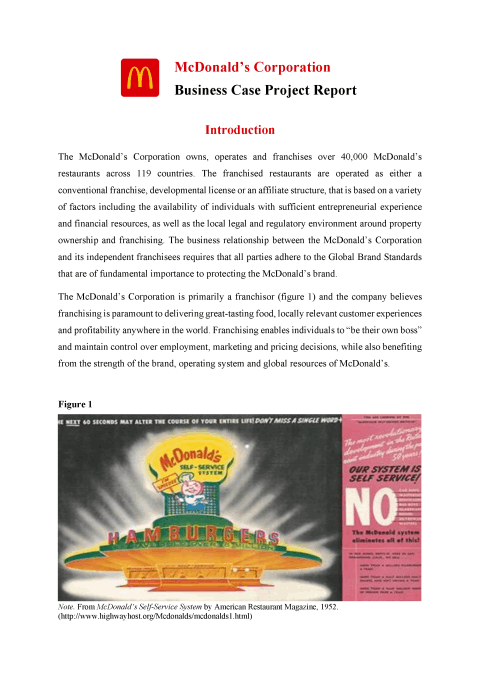 Business Case Project Report